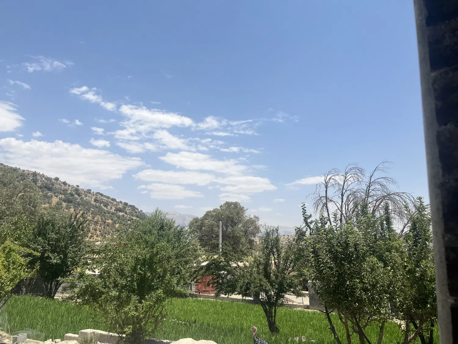 خونه باغ ویلا سوئیت سوییت اجاره ای