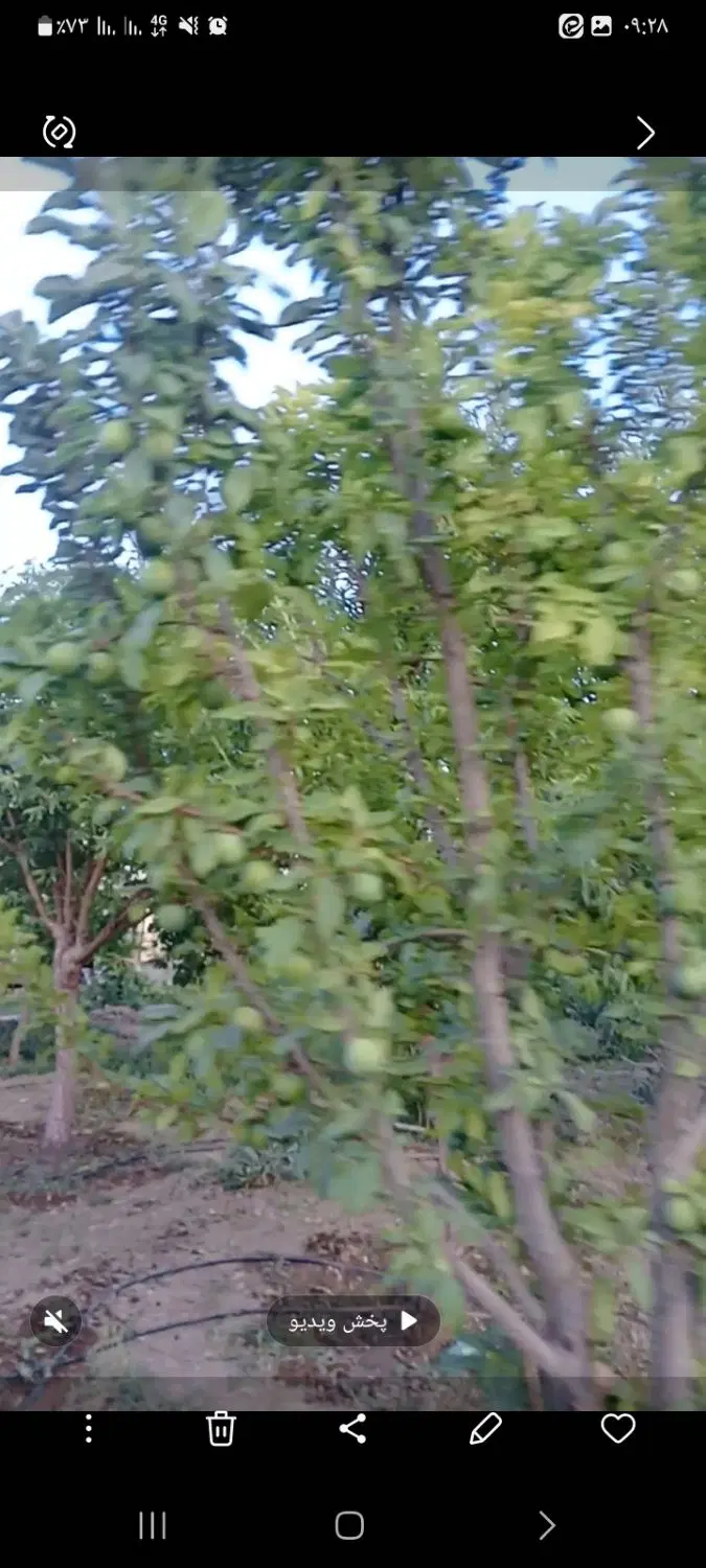 چهار دیواری ۱۰۰۰