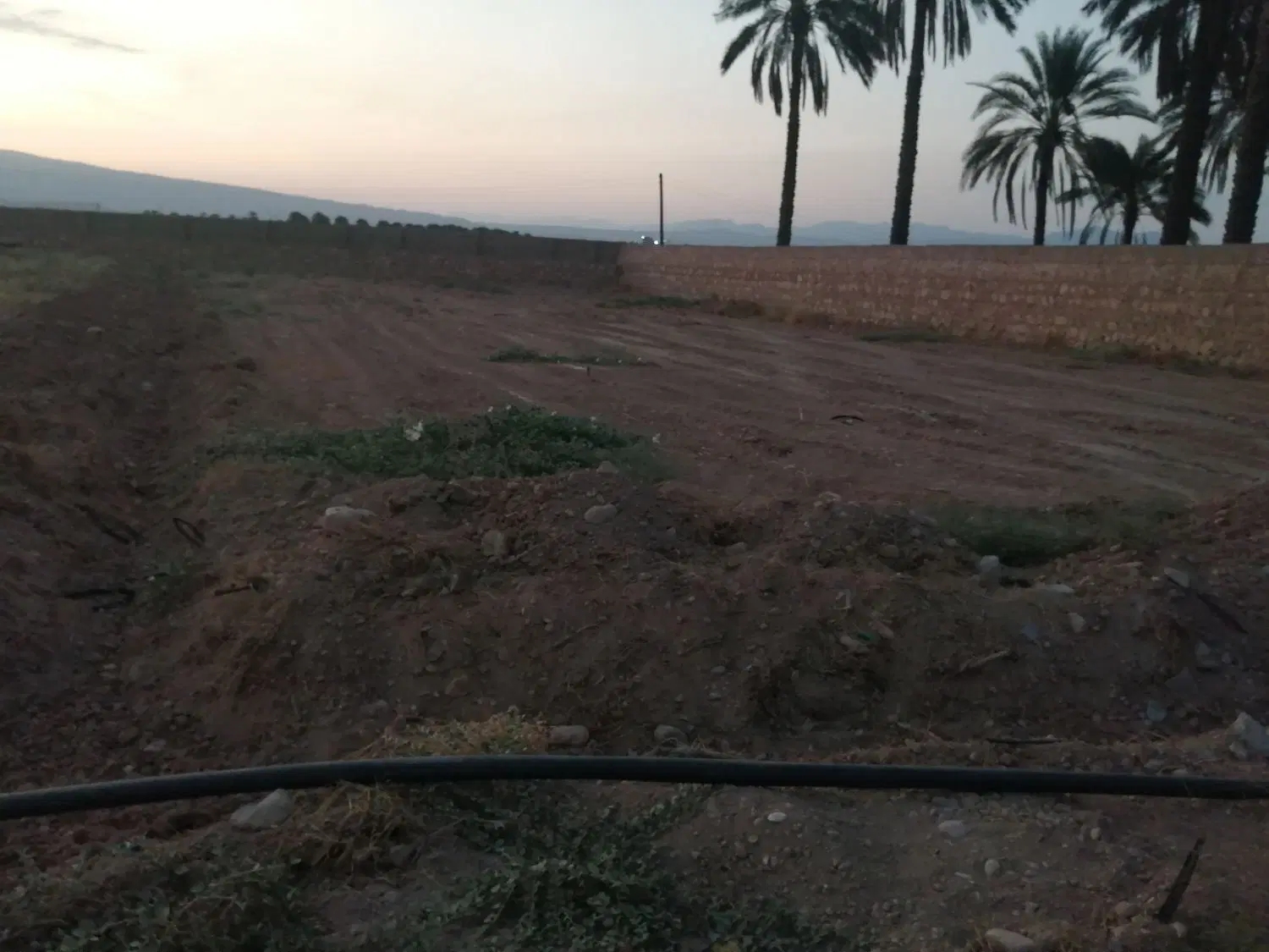 زمین