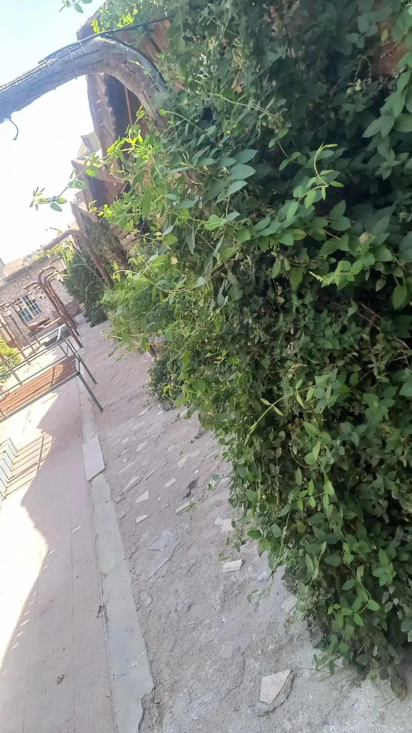 1باب سفره خانه باجای پارک اجاره داده میشود