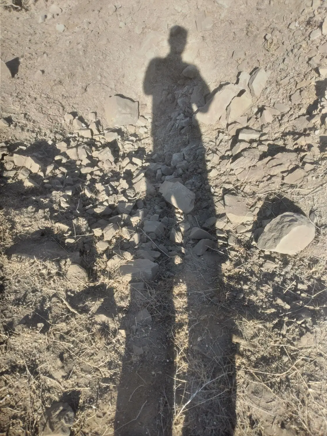 زمین مسکونی صمدزاده ستاری