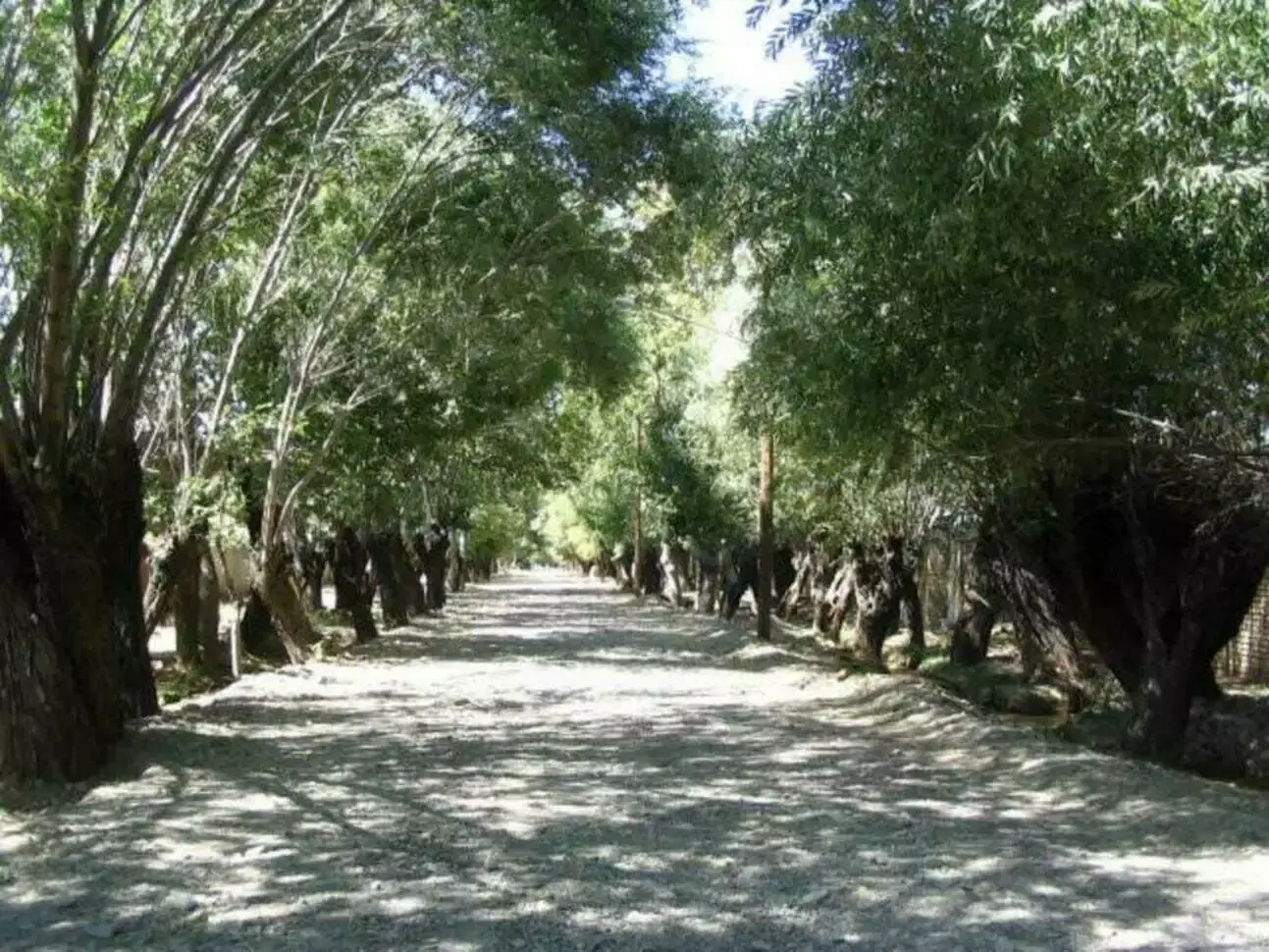فروش زمین