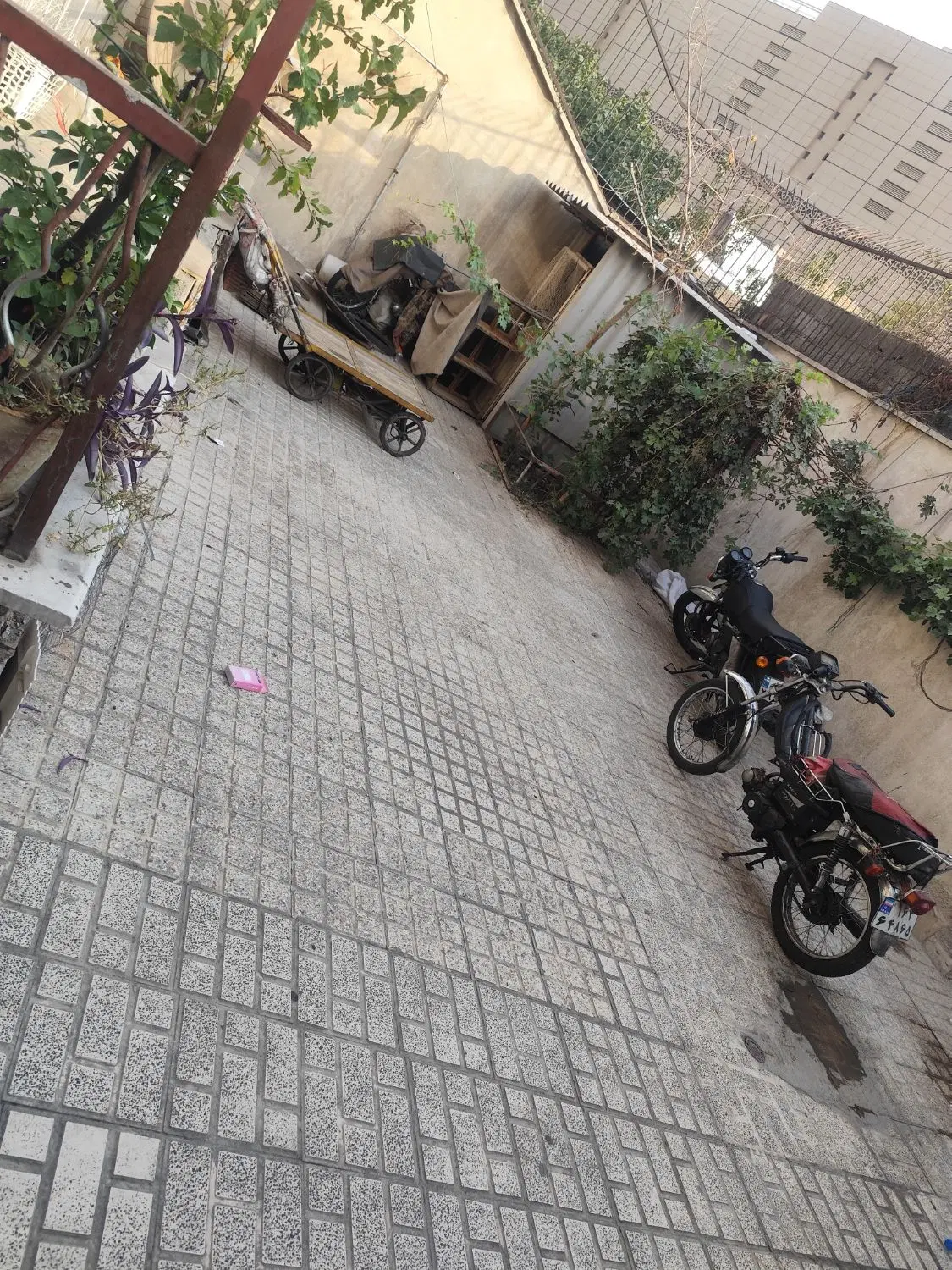 ملک کلنگی