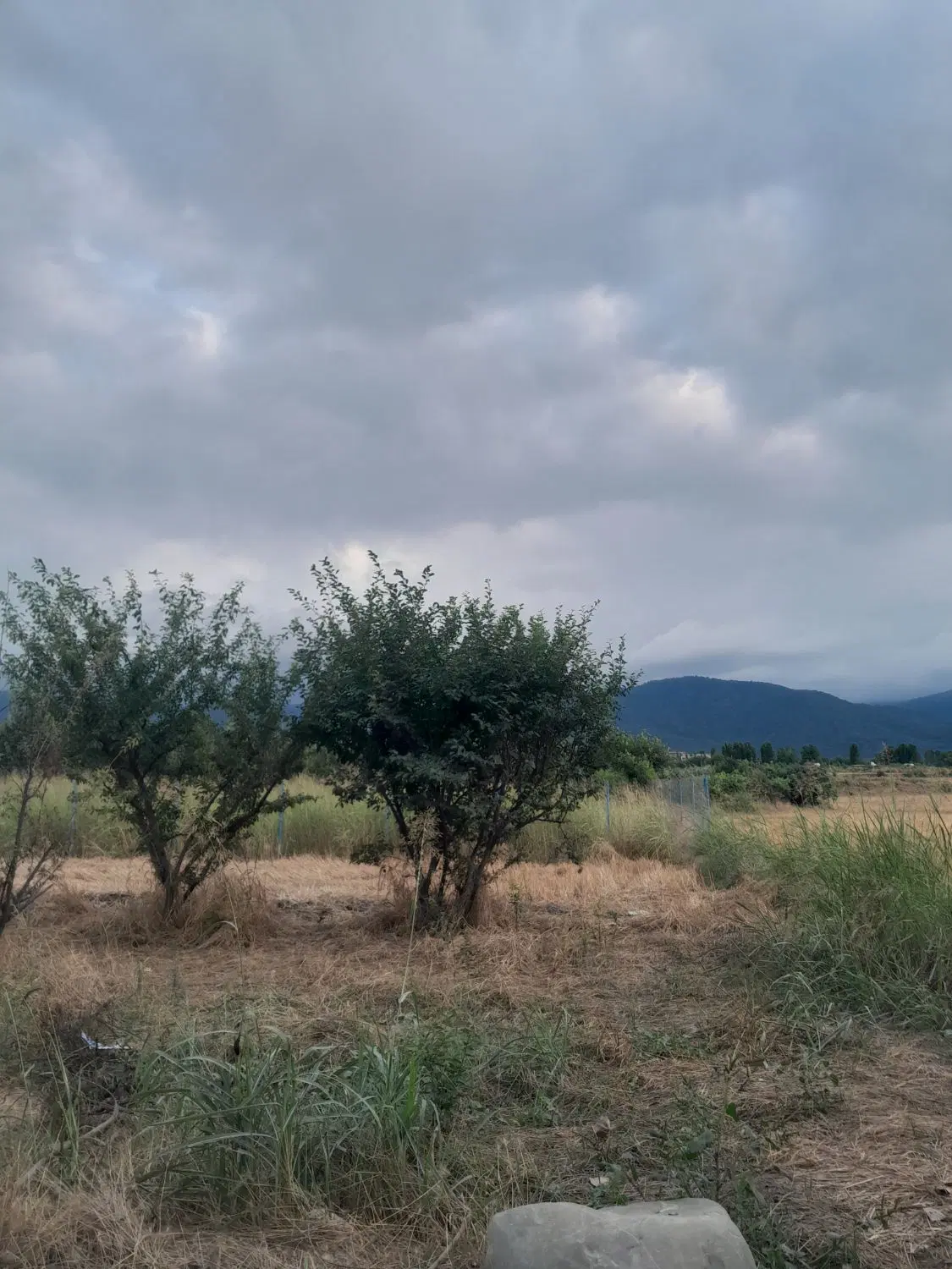 باغ ۵۰۰متری کنار خیابان اصلی شموشک