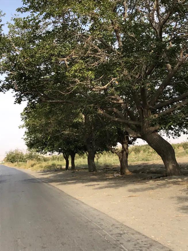 معاوضه زمین با مصالح شاهنامه ۱۴