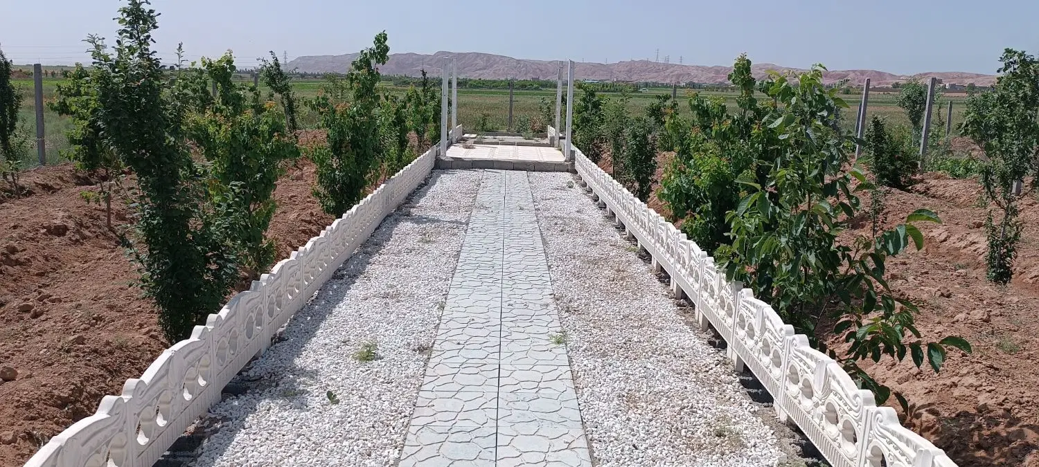 ۵۰۰ متر باغ و زمین خالی در پیشک ۳ هوافضا ماهدشت