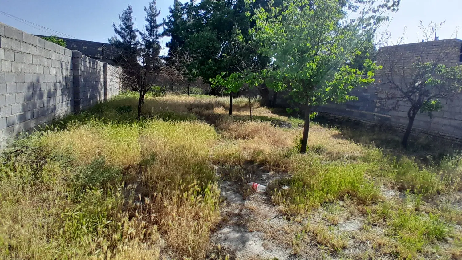 زمین دور دیوار شاهنامه ۲۳