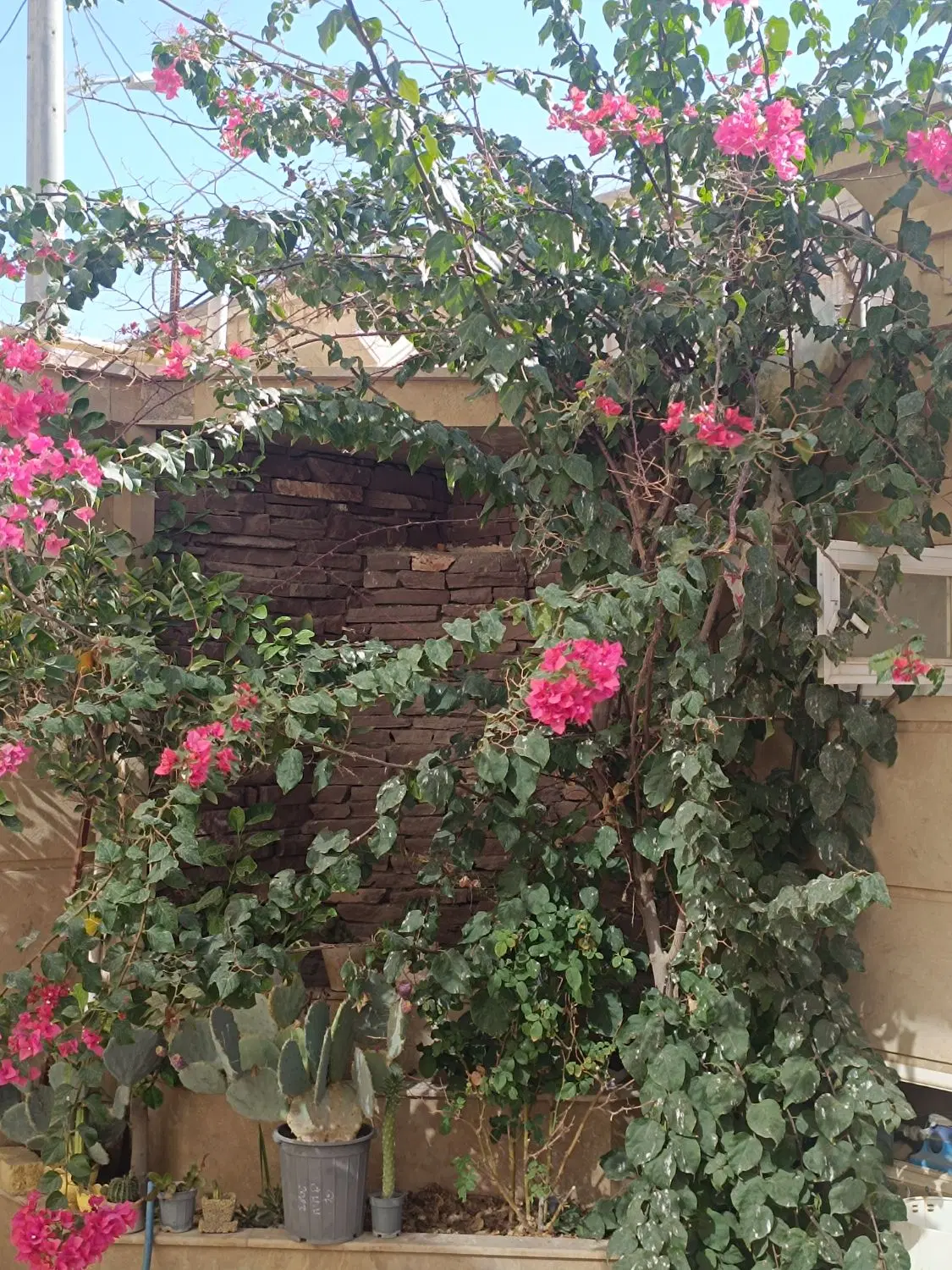 منزل اجاره ای