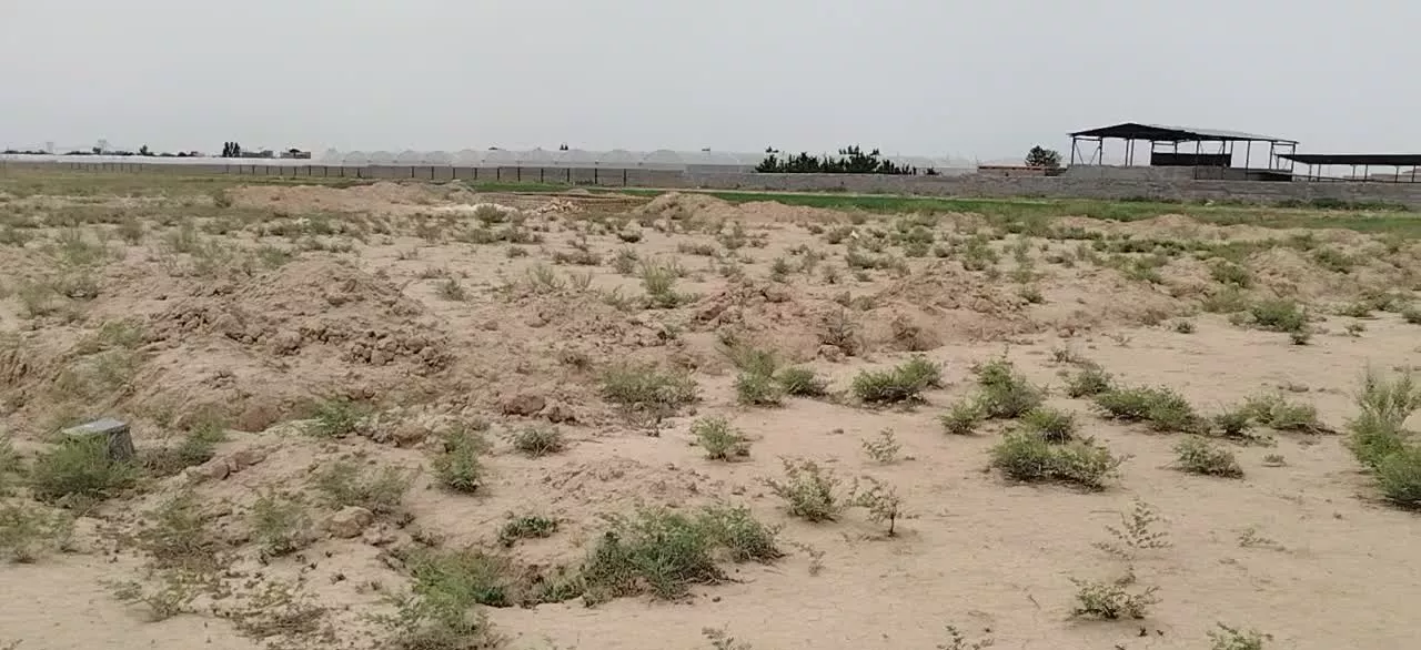 سلام،فروش زمین باسندوکالت.