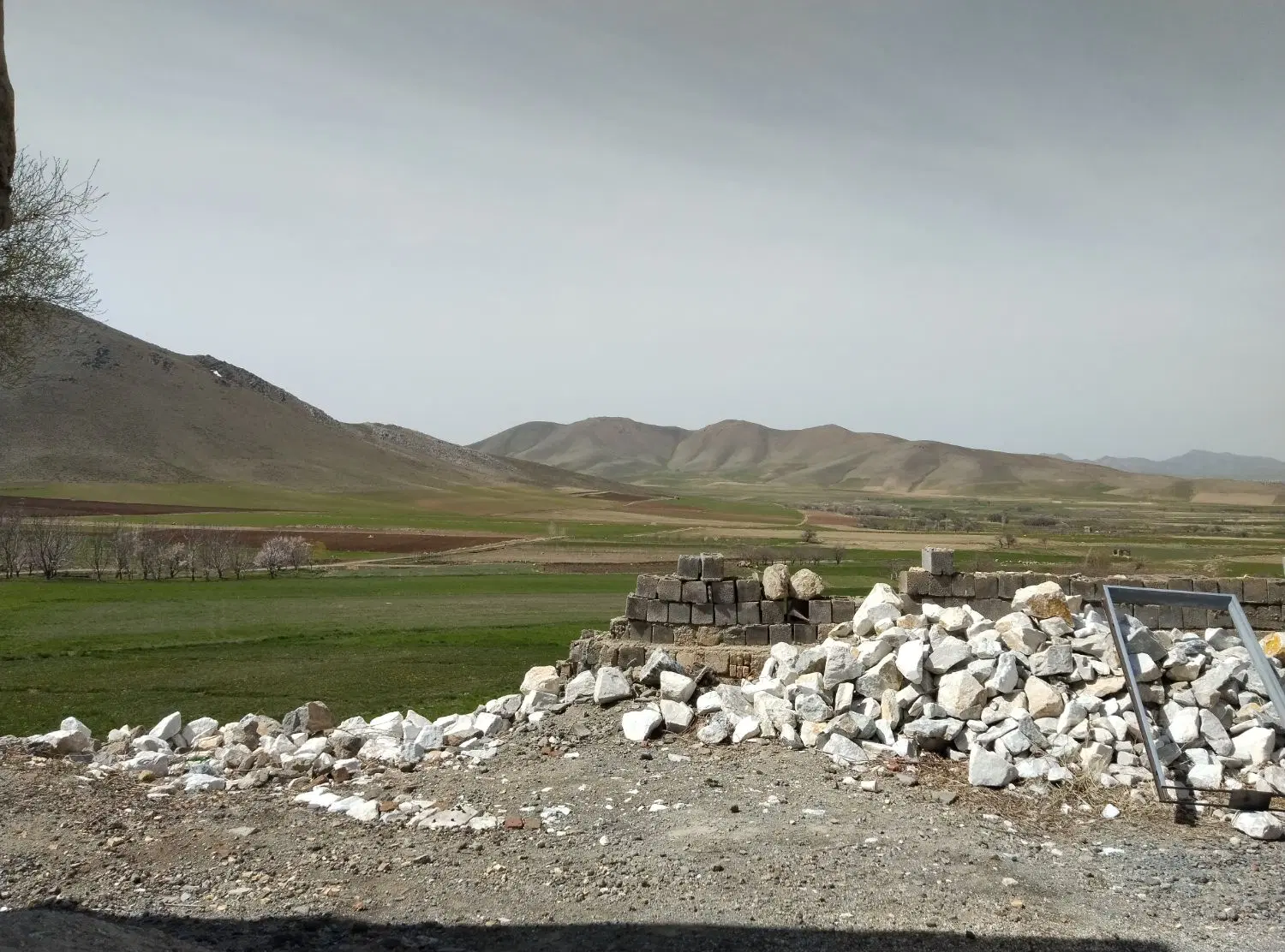 زمین