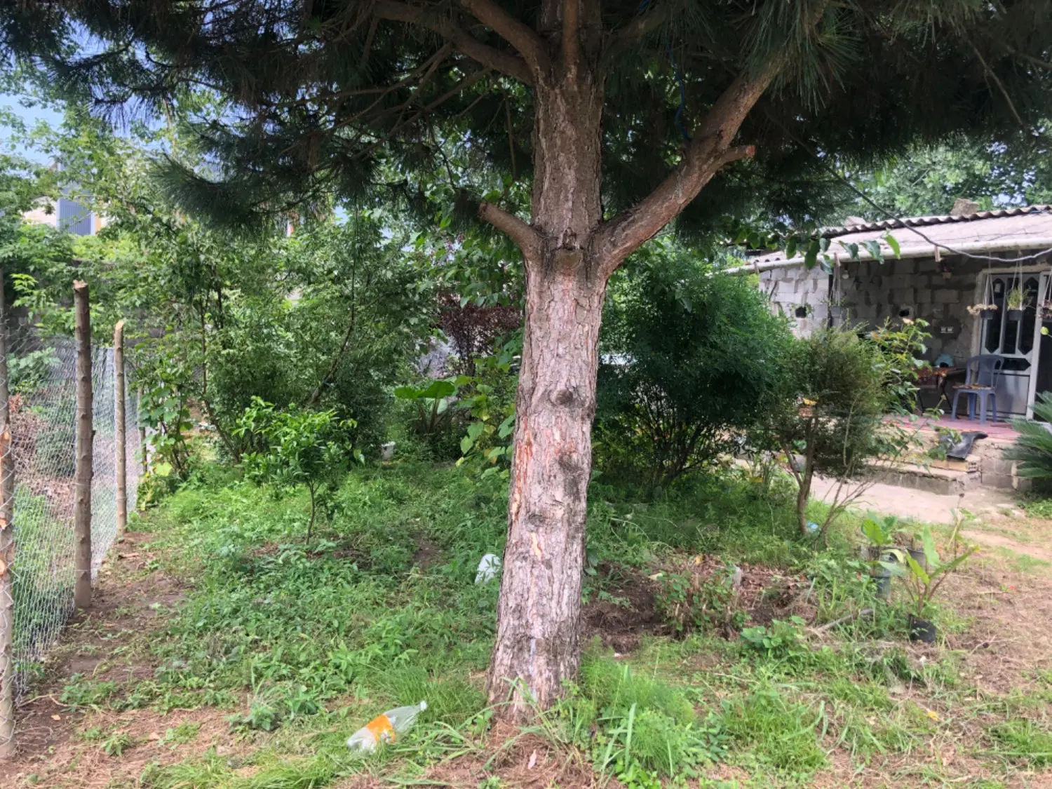 زمین و خانه فروشی