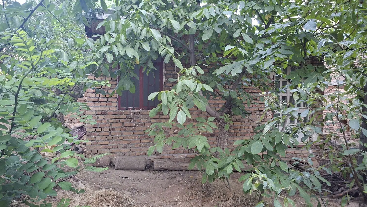 باغ نقلی در جای خوب سرکان