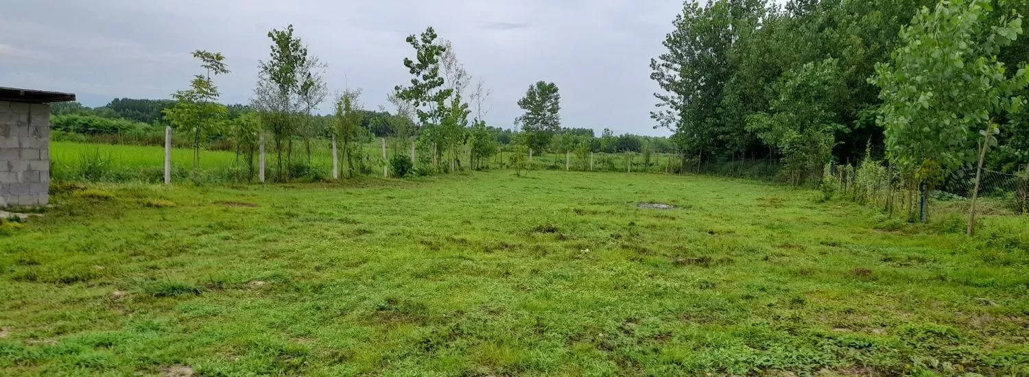 زمین ۲۰۷۰متر سند تک‌برگ