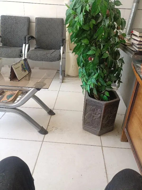 سوئیت اجاره ای