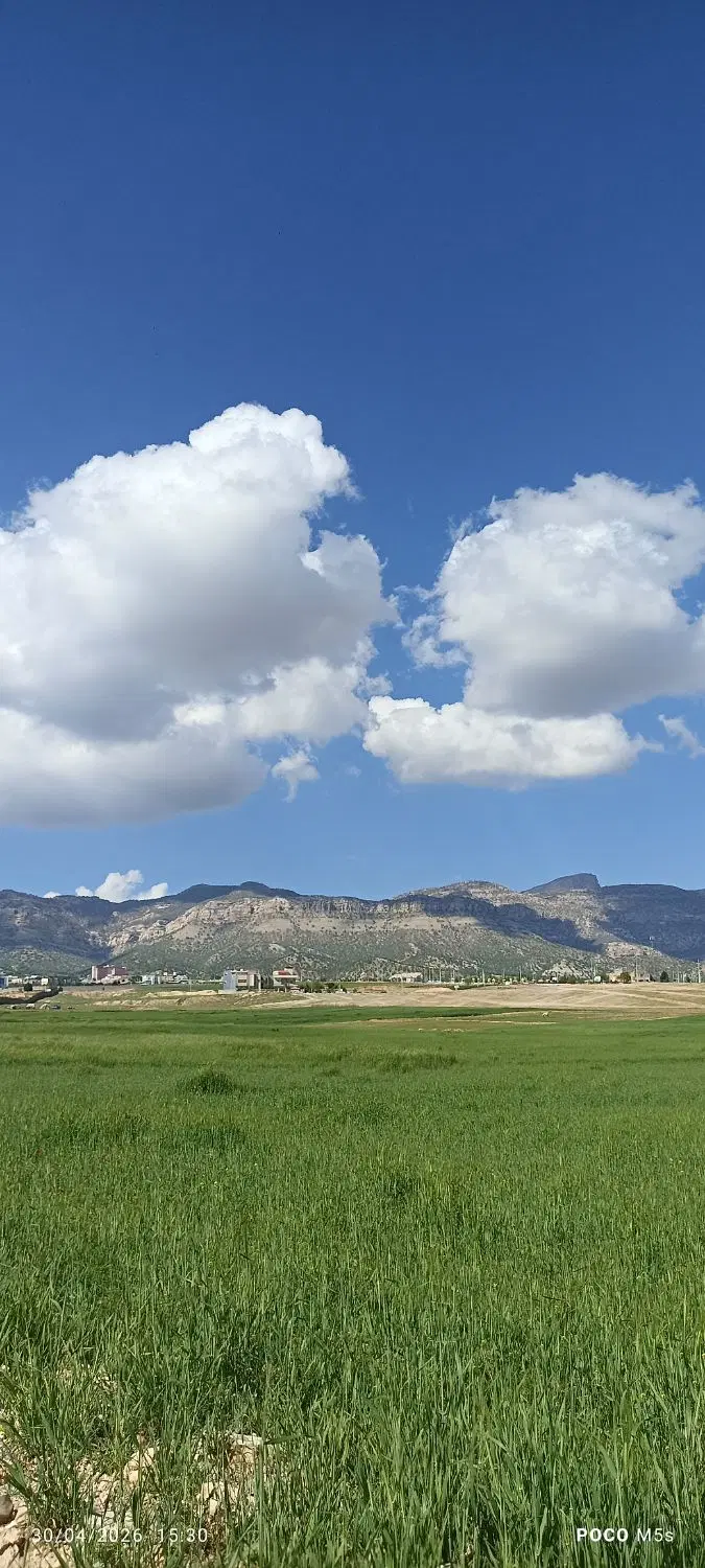 زمین تجاری سرابله