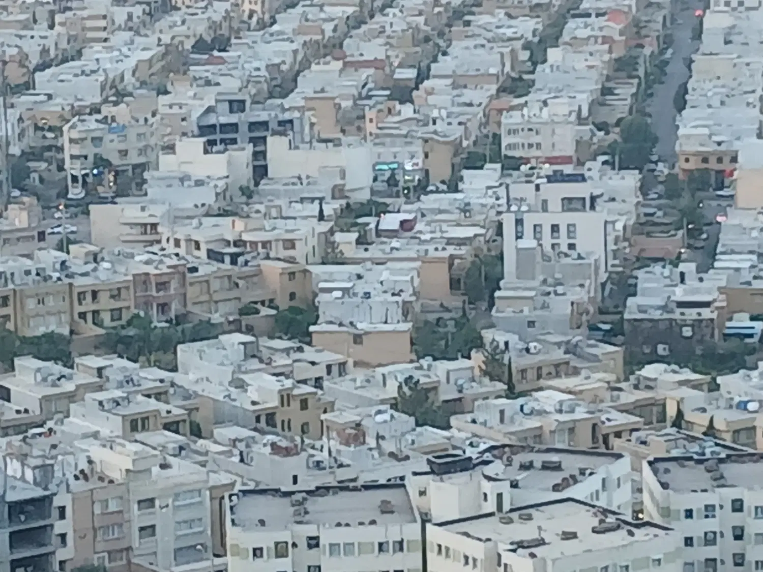هم خانه، هم خونه، همخونه کارمند آقا. توافقی