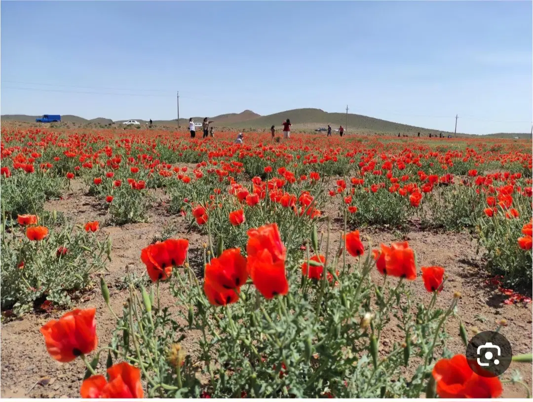 زمین در اختر آباد دشت شقایق