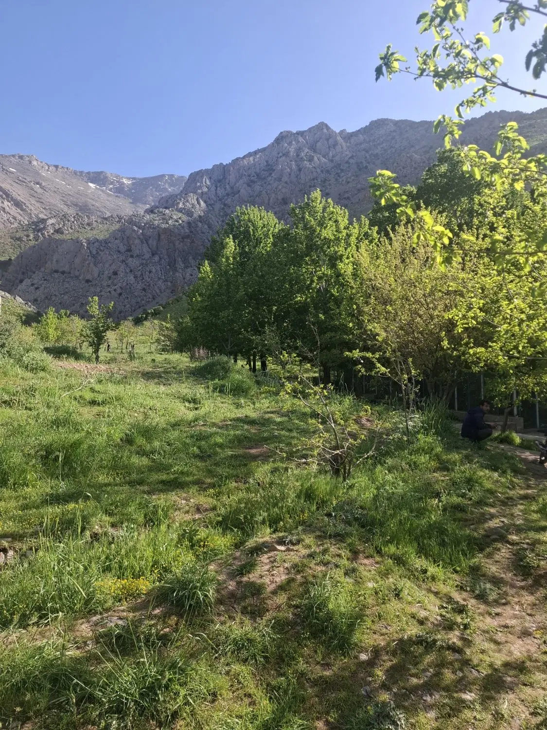 زمین ۱۰۰۰متری عربلو