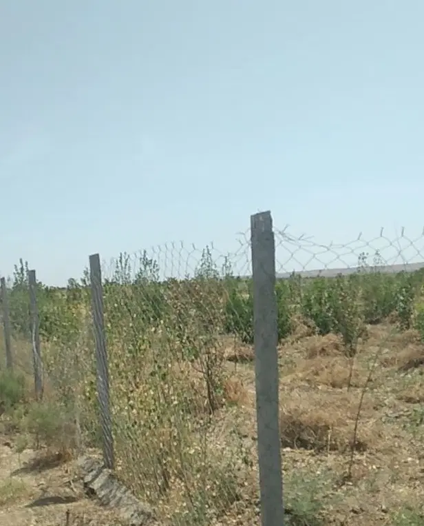 باغچه ۶۰۰متری(کوروش) فنس کشی شده، ،