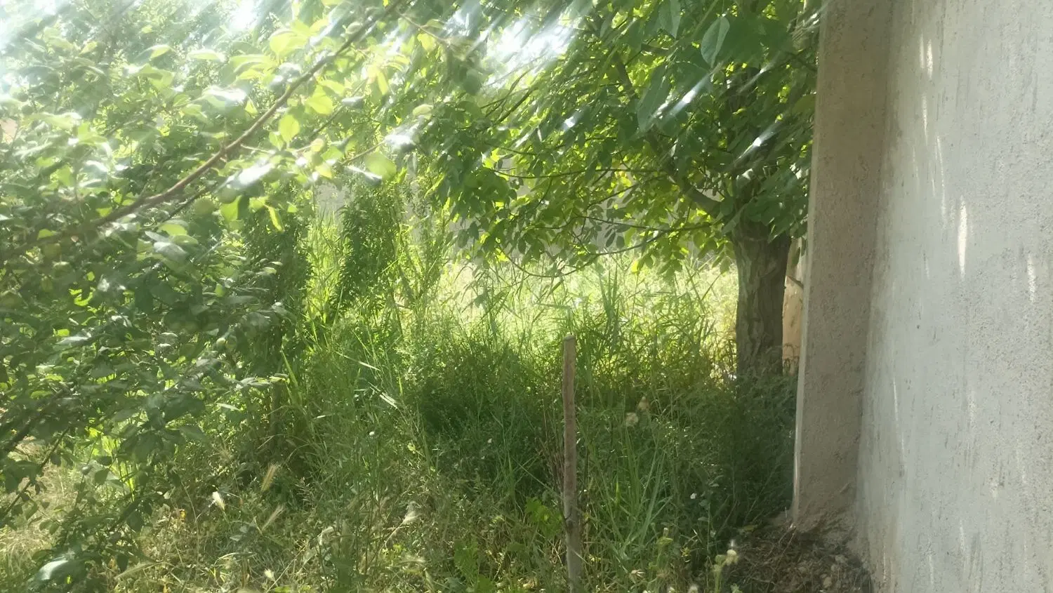 چهاردیواری عرب آباد رامجین ۳۵۰متری