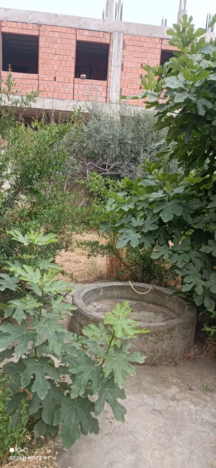 باغچه ویلاشهر