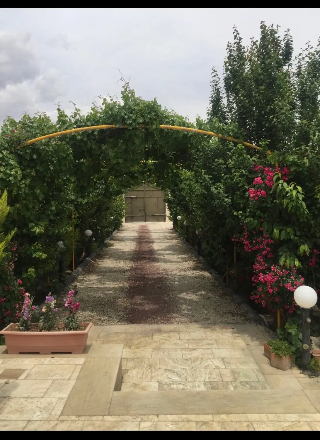 فروش باغ