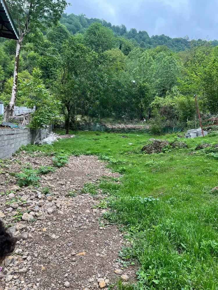 یک قطعه زمین دارای سند مالکیت