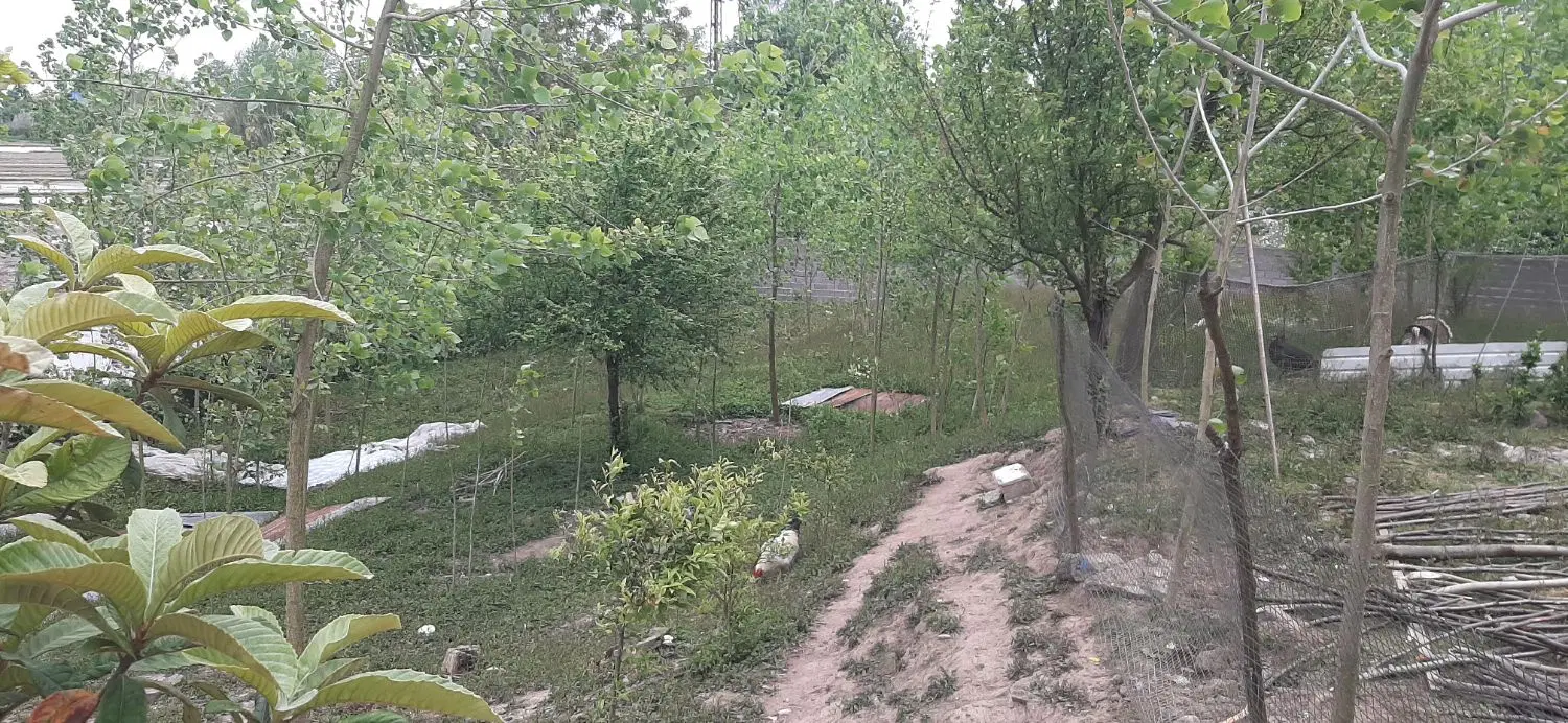 ملک(زمین مسکونی)