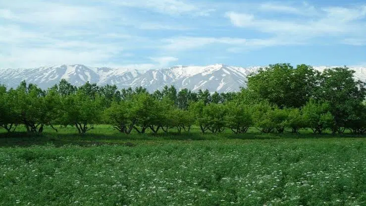 زمین ۴۰۰ متری روستای بیان نهاوندبخش گاماسیاب