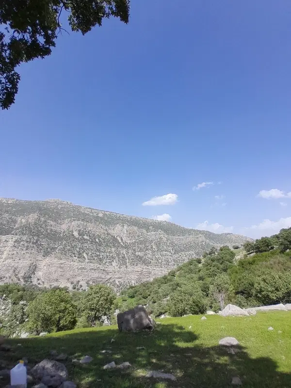 قطعه زمینی بکر و طلایی در گورک(آب و خاک شیرین)