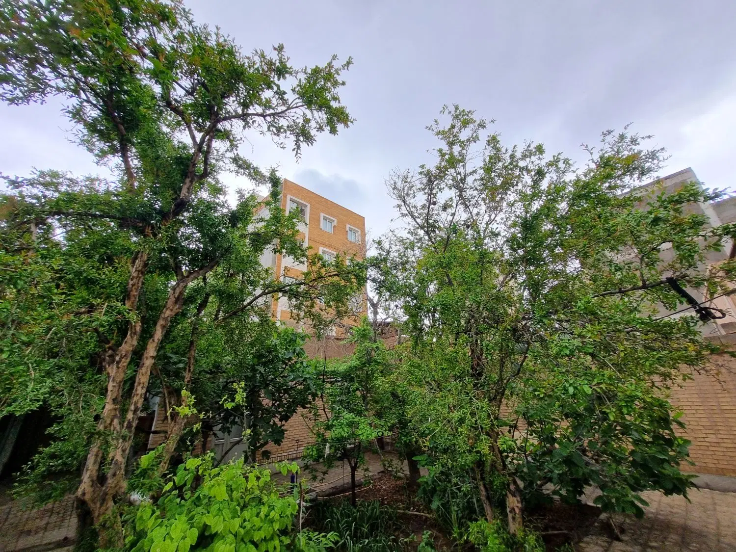اجاره اتاق