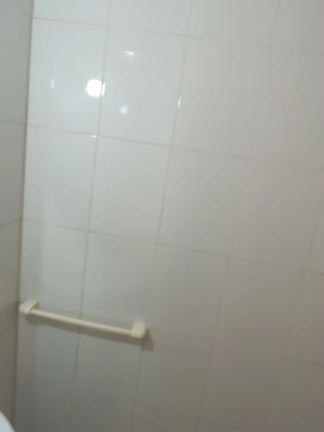 باغ ویلا