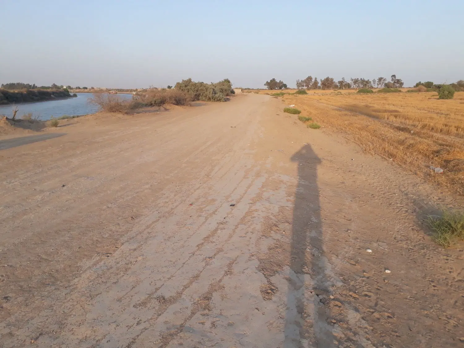 زمین کشاورزی