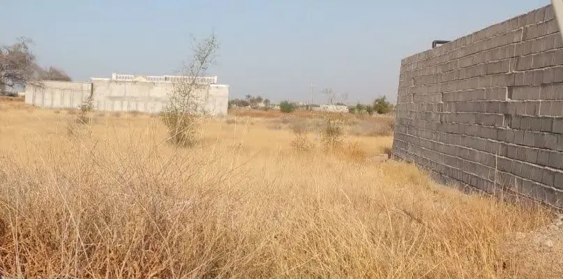 دوقطعه زمین 1000 متری با یک‌قطعه 600 متر سرخون