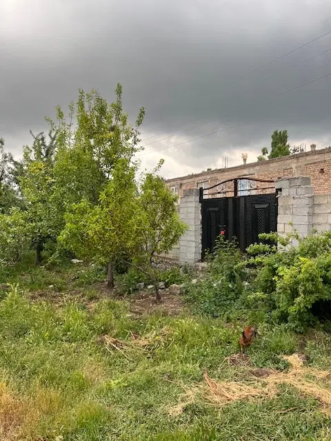 زمین مسکونی
