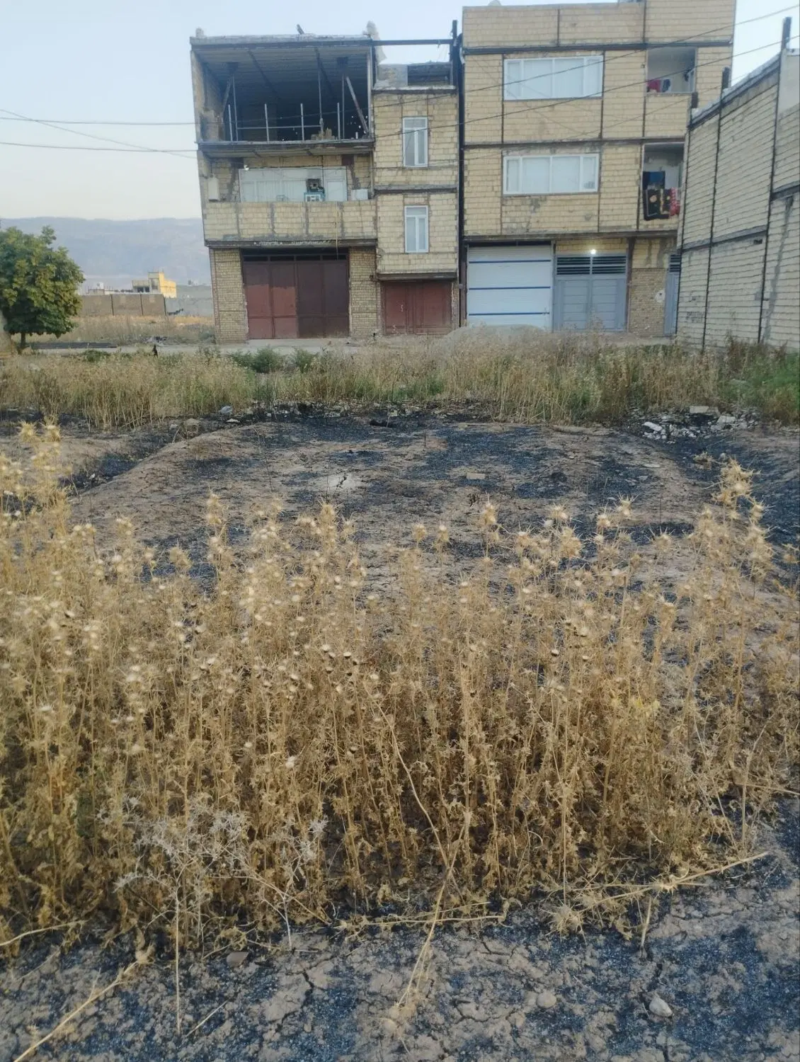 زمین باغ ارتش