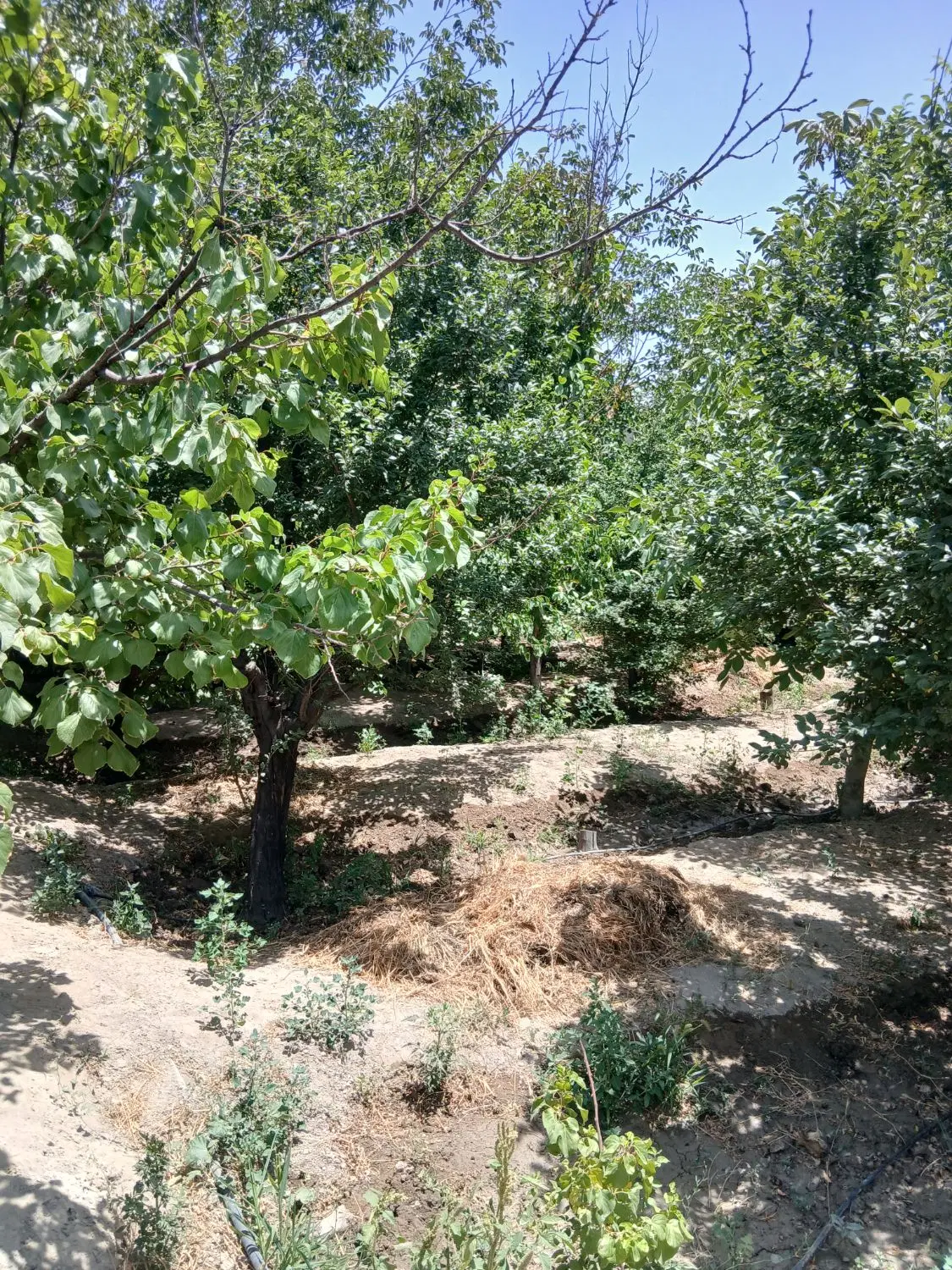 ۸۵۸ متر با بنای ۱۲ ساله _صالح اباد