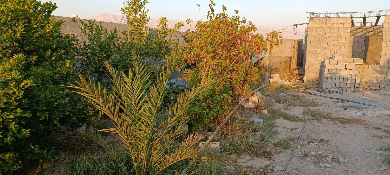 باغ شهری ۵۰۰متری