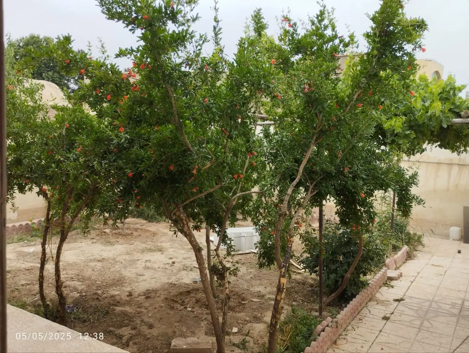 فروشی
