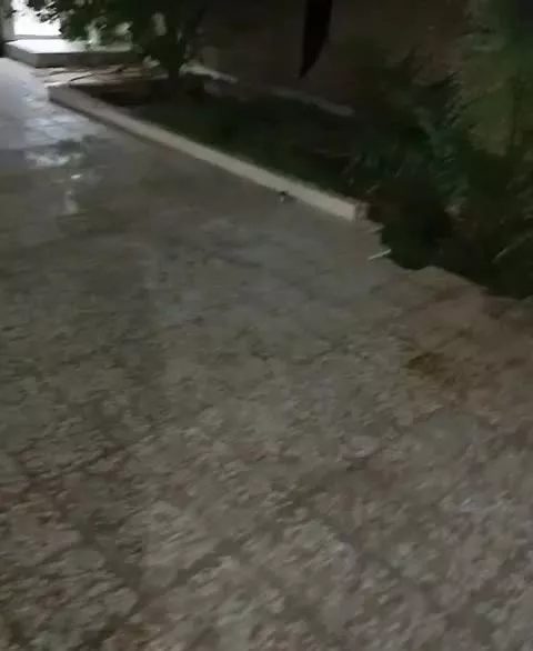 زمین ملاشیه به مساحت۱۳۰متر
