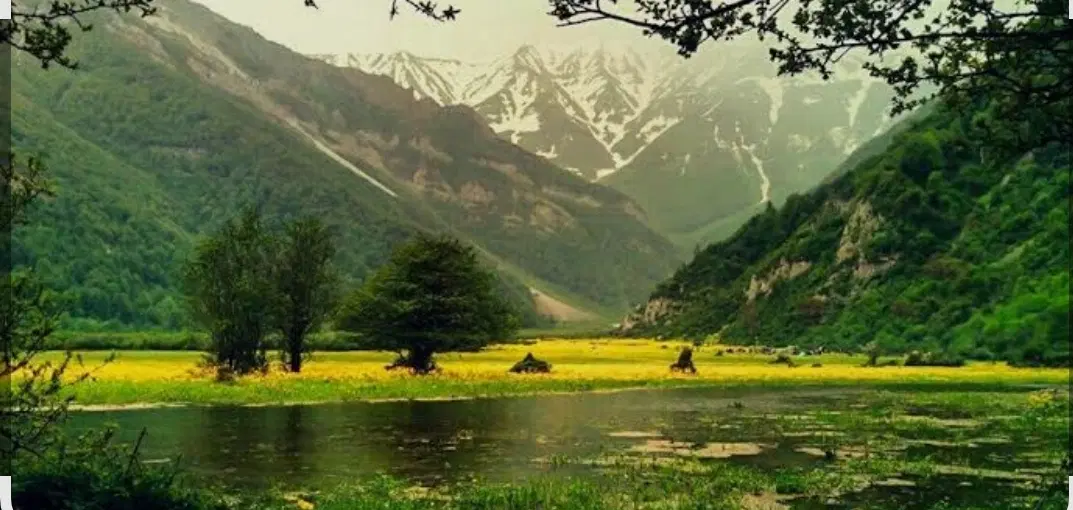 زمین شهرکی شهسوار