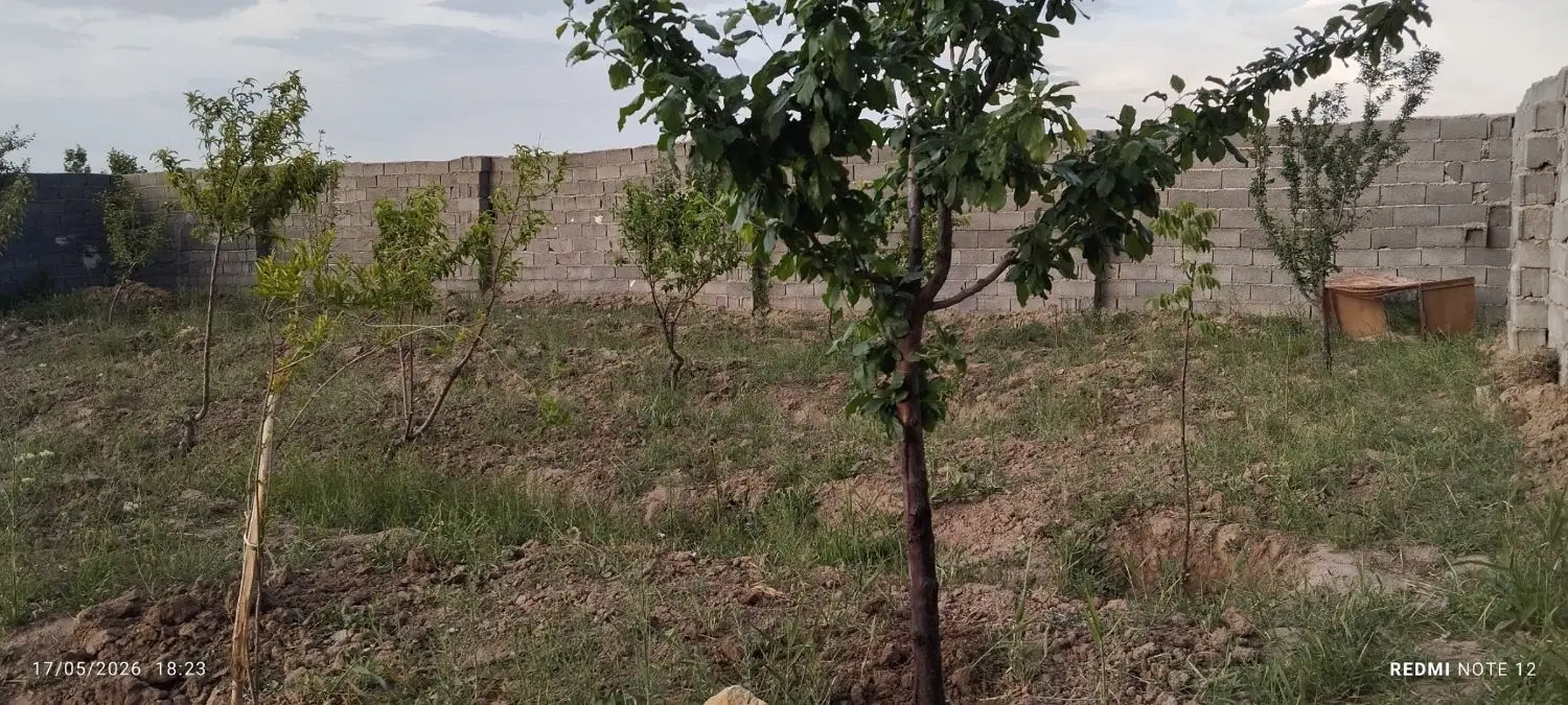 باغچه ۳۰۰متری