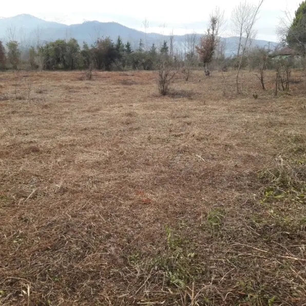 زمین زراعی و کشاورزی