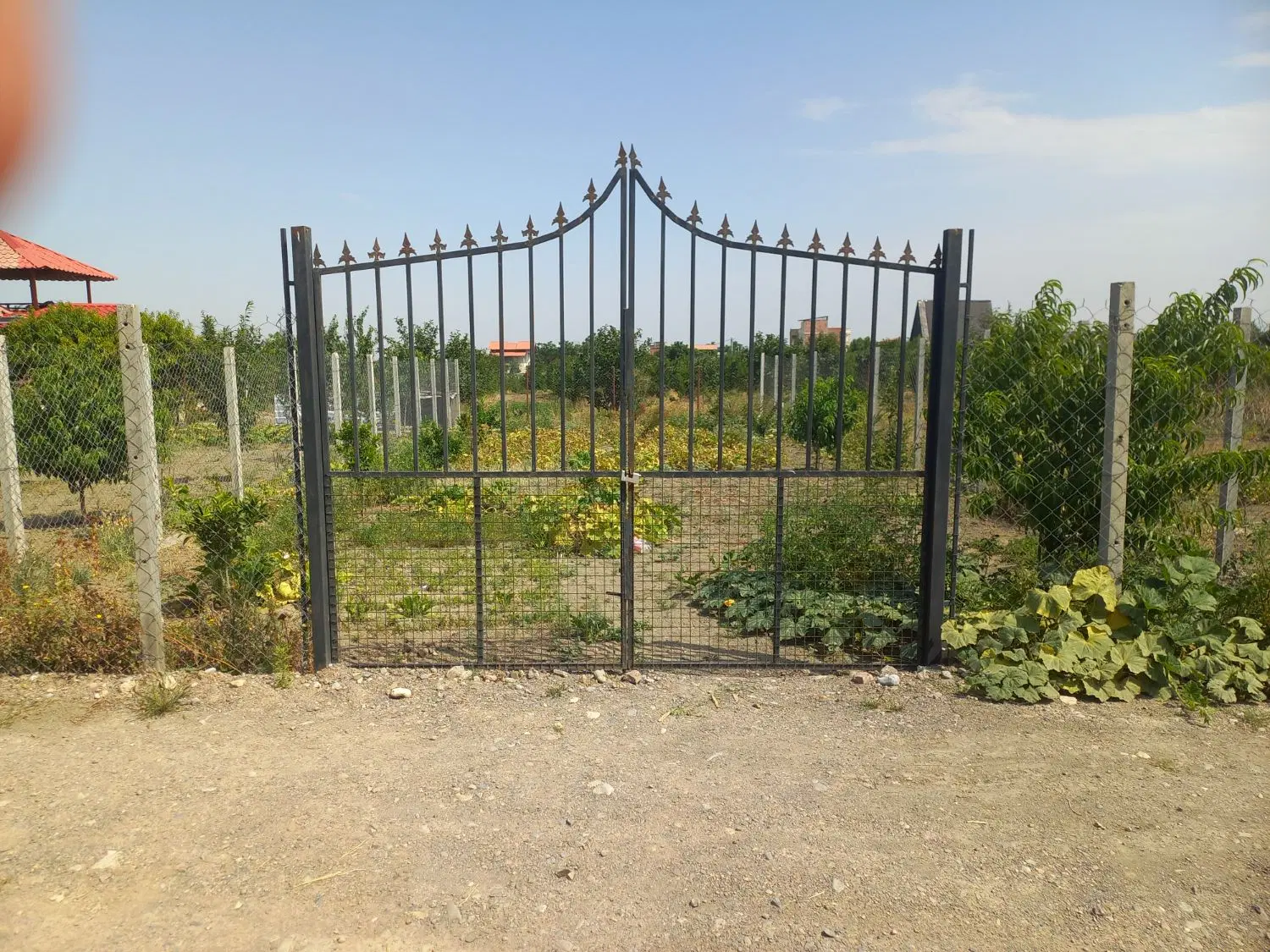 باغ به متراژ ۲۰۶ متر با سند . روستای کلاجان قاجار