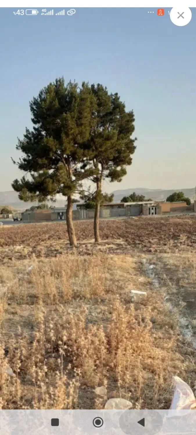 زمین فروشی