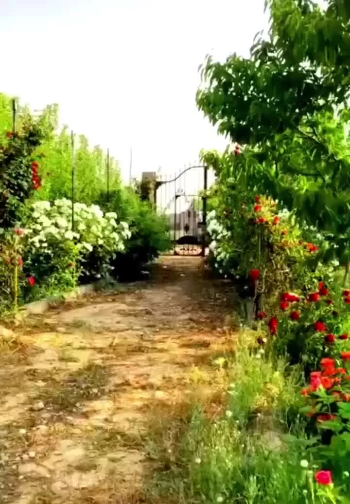 باغ و زمین باغی