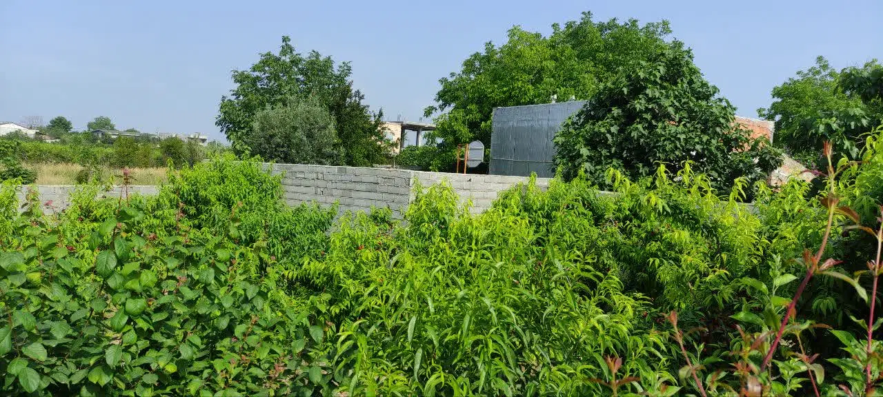 زمین مسکونی و باغ