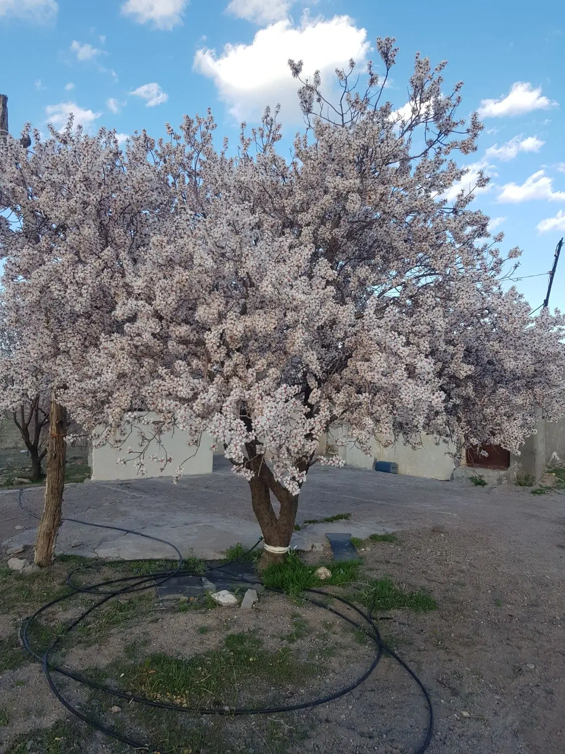 زمین ۲۰۰متر مربع نجفشهر پایین جای خوب