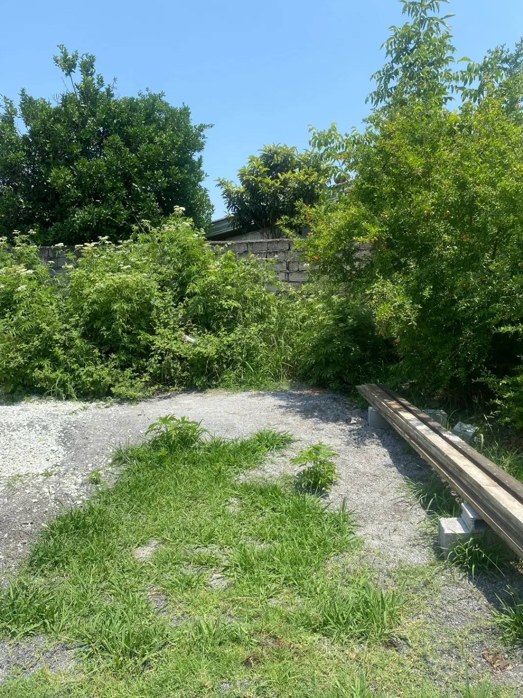 زمین ۴۱۰ متری رویان روستای نوده