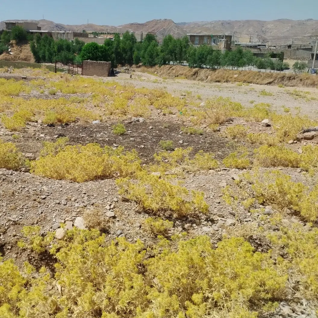 زمین خونه باغ